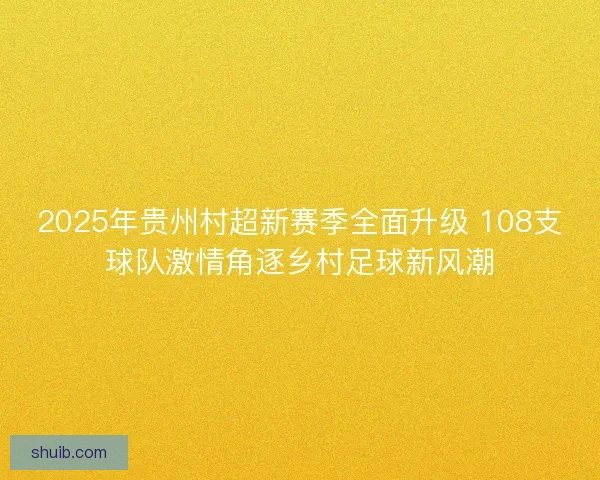 2025年贵州村超新赛季全面升级 108支球队激情角逐乡村足球新风潮
