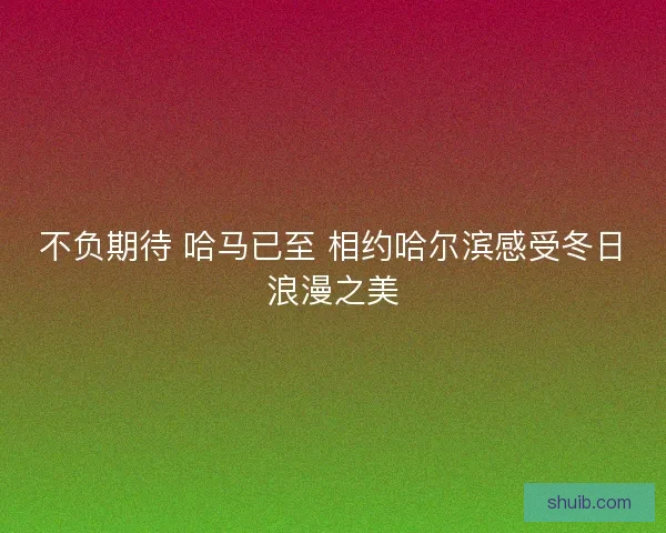 不负期待 哈马已至 相约哈尔滨感受冬日浪漫之美