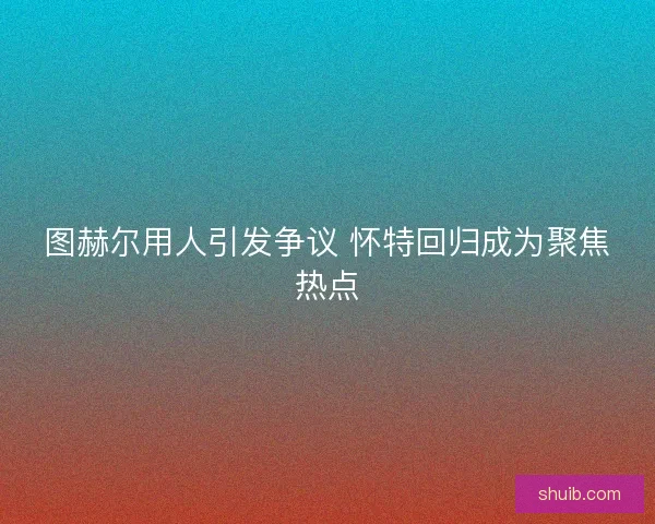 图赫尔用人引发争议 怀特回归成为聚焦热点