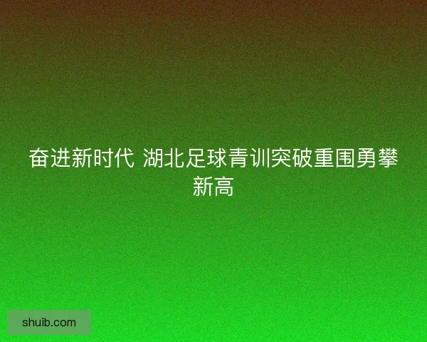 奋进新时代 湖北足球青训突破重围勇攀新高